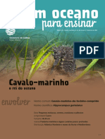 Cavalo-Marinho Revista Oceanário