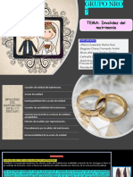 Invalidez Del Matrimonio PPT Final 1