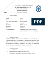 Universidad Nacional Autonoma de Hoduras Facultad de Ciencias Psicologicas Escuela de Psicologia Psicodiagnostico Ii Informe Integrado