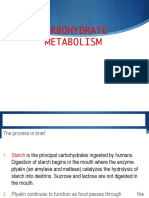 Carbohydrate Metabolism