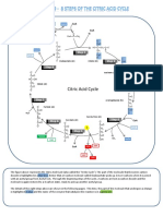 Citric Acid Cycle: Step 1 Step 2 Step 8