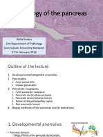 Kovacs Pancreas Pathology