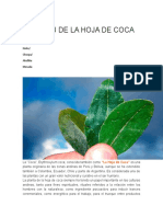 La Hoja de COCA