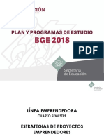 Plan y Programa BGE - Estrategias - de - Proyectos - Emprendedores - 1