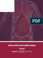 Unidad I Contenido Anatomia Nivelacion