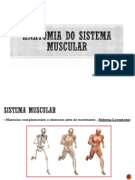 Anatomia Aula 3 Sist Muscular