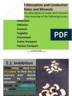 4.3 Modes of Absorption and Conduction of Water