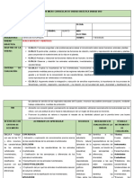 CCNN Microcurricukar