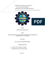 Transformacion en El Proceso de Minerales Polimetalicos y Auriferos