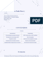 OSPF