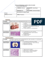 Anatomiía Patologica Caso 2