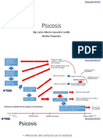 Sesion 09 - Psicosis