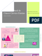 Prevención y Control Del Cáncer Cervicouterino