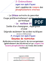 Outils de Genie Genetique - 5