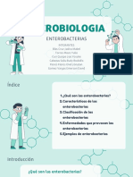 Micro Biolog I A