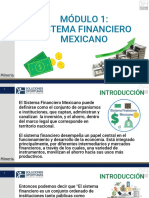 Sistema Financiero Mexicano IFG 2022-5