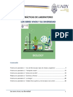 Manual de Prácticas de Laboratorio - LSVD - 2022