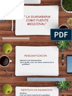 Diapositivas de LA GUANABANA