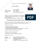 Curriculum Vitae Miguel 2011