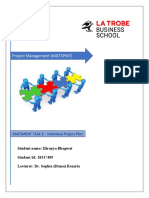 Individual Project Plan