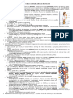 SM 3ºeso BG Tema 5 Las Funciones de Nutrición Esquema