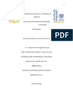 Proyecto de Investigación Duelo