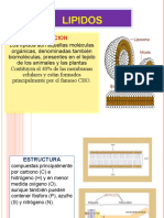 Lipidos, Proteinas, Enzimas 2