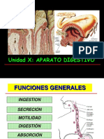 Copia de Unidad 10 Aparato Digestivo