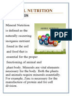 Mineral Nutrition