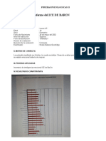 Informe Final de Test de Baron 3