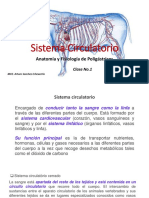 Clase de Repaso Sistema Circulatorio