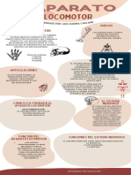 Aparato Locomotor Infografia