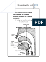 Aparato Fonador