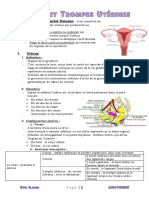 2 - Utérus Et Trompes Utérines