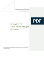 Unidad 3. TC Mesodermo Antiguo Cerebelo