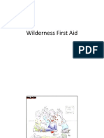 Wilderness 1st Aid Powerpoint