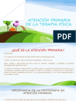 Atención Primaria de La Terapia Física