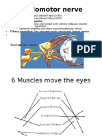 Oculomotor Nerve: Components Main Action Supplies