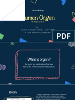 Human Organs