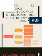 Principios Constitucionales Rectores Del Amparo