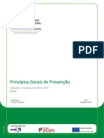 Princípios Gerais de Prevenção