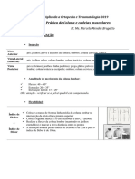 FAOT Roteiro Aula Prática - Coluna e Cadeias Musculares - 2019