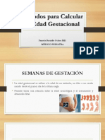 Edad Gestacional