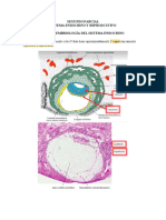 Segundo Parcial Endocrino