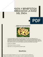 Derivados y Beneficios de La Arracacha La Raíz