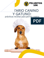 6 Recetas Faciles y Caceras para Tus Peluditos