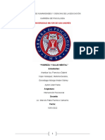 Ensayo Pobreza y Salud Mental - Recomedaciones Específicas Factibles para Mejorar Un Contenido Puntual en Bolivia 1-1