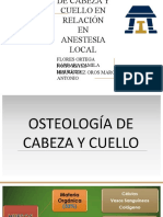 Anatomia de Cabeza y Cuello en Relacion en Anestesia Local