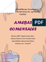 Cuadro Comparativo Amebas Comensales