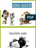 Leccion Gato